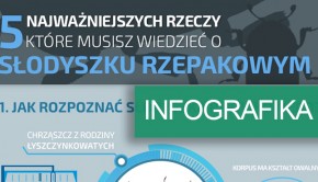 infografika_słodyszek_header