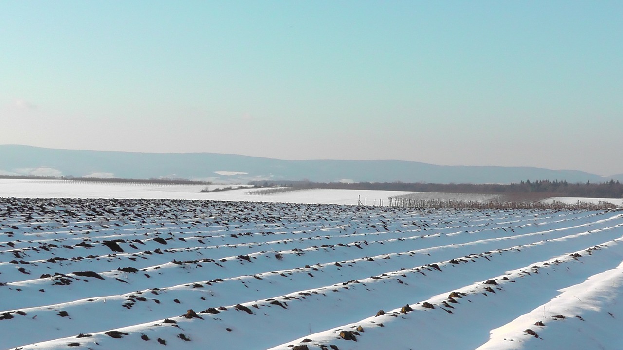 Prace w rolnictwie zimą – Przygotowujemy się do sezonu