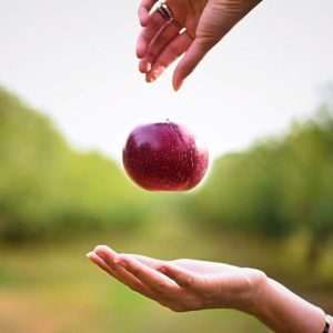 zdolność-przechowalicznia-jabłek