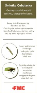 charakterystyka-agrofaga-smietka-cebulanka