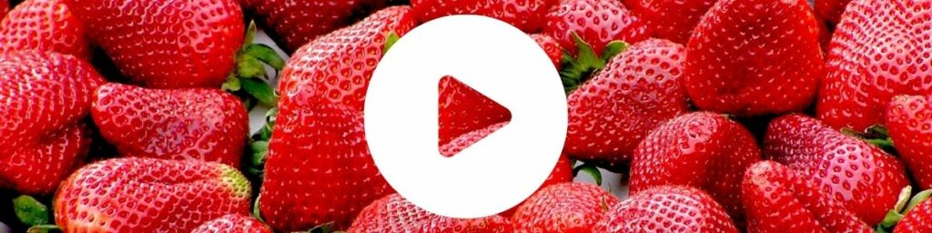 Kampania Cennyowoc uprawa truskawki video