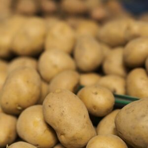ziemniak-desykacja-naci-ziemniaka