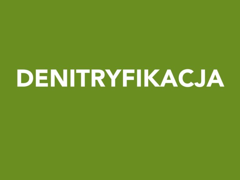 Denitryfikacja