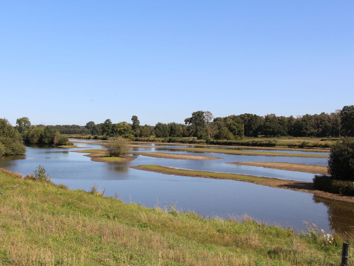 Dorzecze Praktyczny Poradnik Rolnika