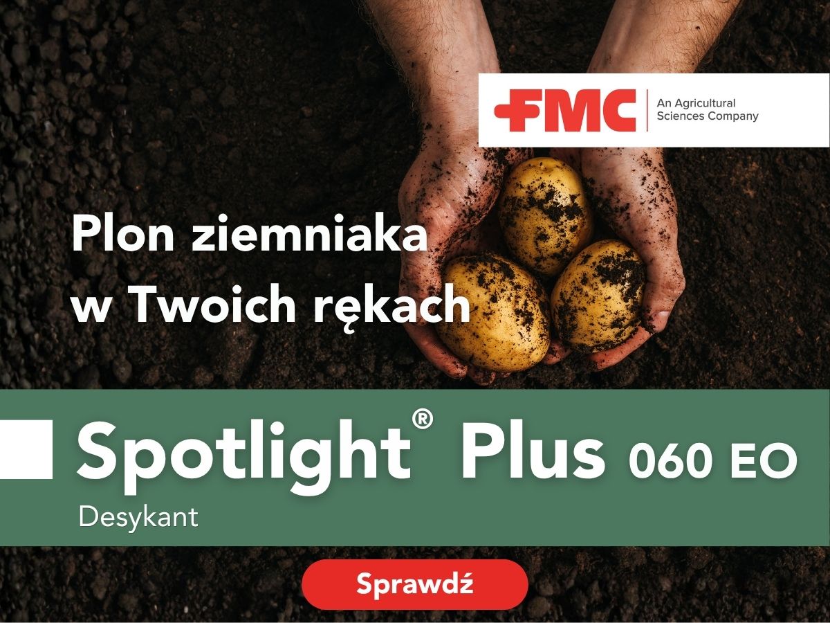 Desykacja naci ziemniaka - Spotlight Plus skuteczny desykany