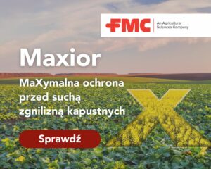 Maxior na suchą zgniliznę kapustnych