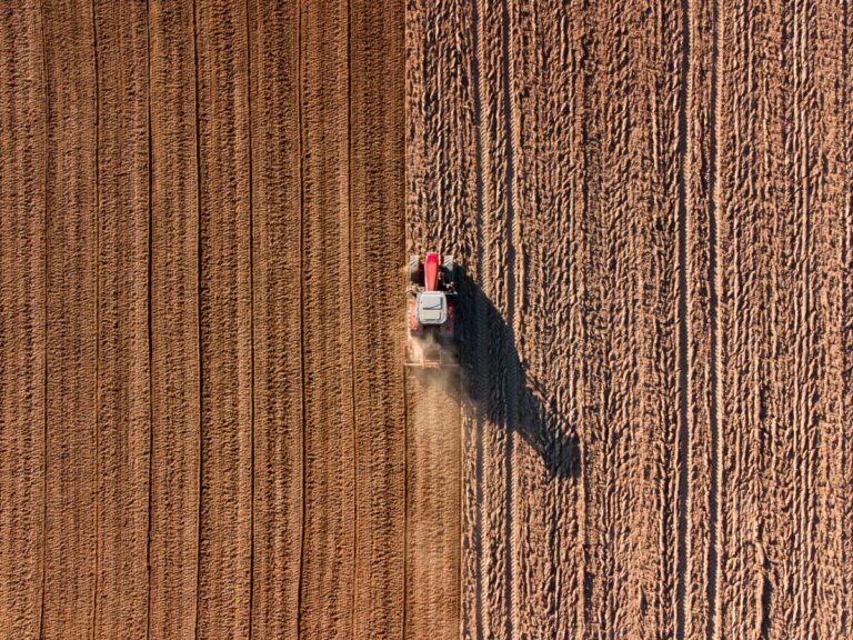 Włókowanie – kiedy wykonać? Wady i zalety zabiegu