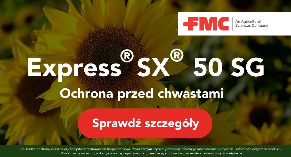 Skuteczna ochrona przed chwastami - Express SX 50 SG od FMC Agro Polska 