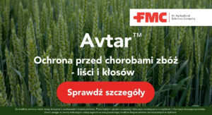 Avtar - ochrona zbóż przed chorobami