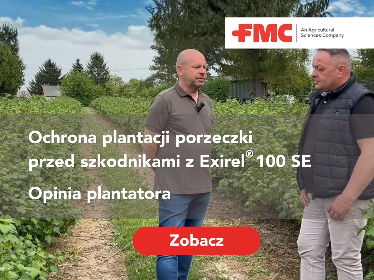 Ochrona plantaacji porzeczki z Exirel 100 SE. Opinia plantatora. Oryginale wywiady prosto z pola