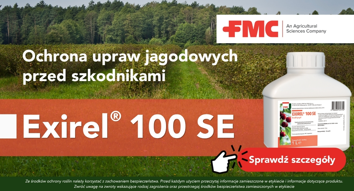 Ochrona upraw jagodowych przed szkodnikami z insektycydem Exirel 100 SE od FMC Agro Polska 