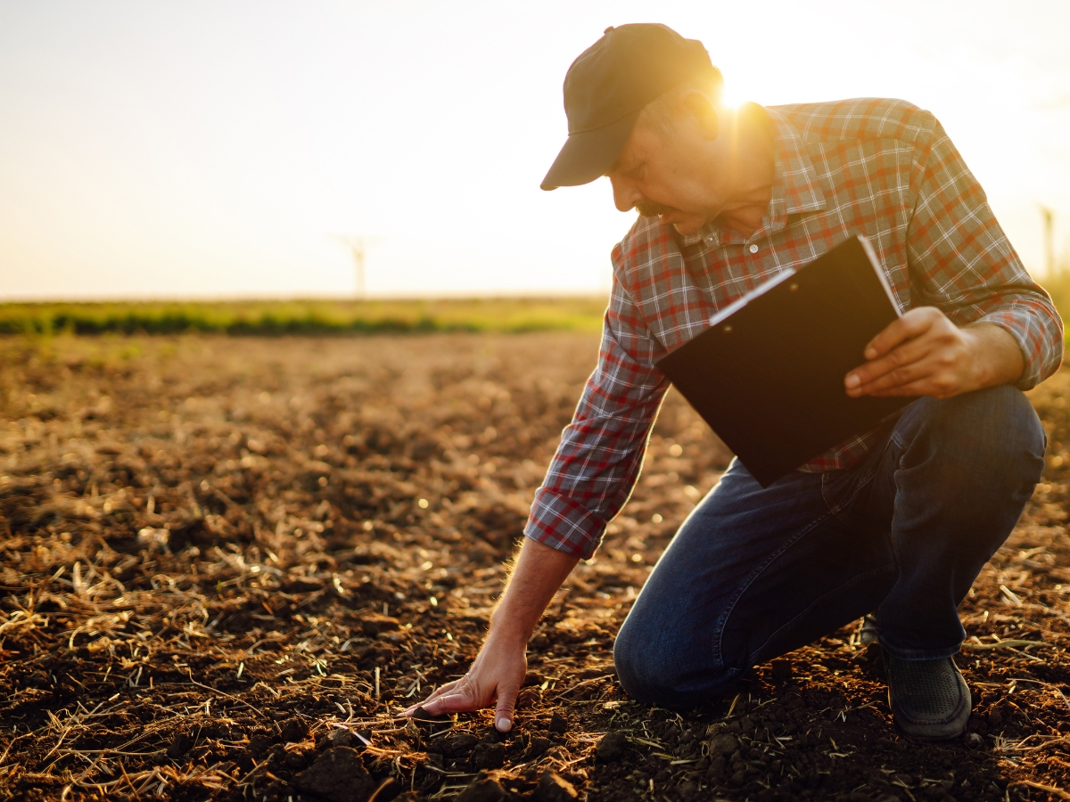 Odczyn gleby – jakie ma znaczenie dla Twoich upraw?