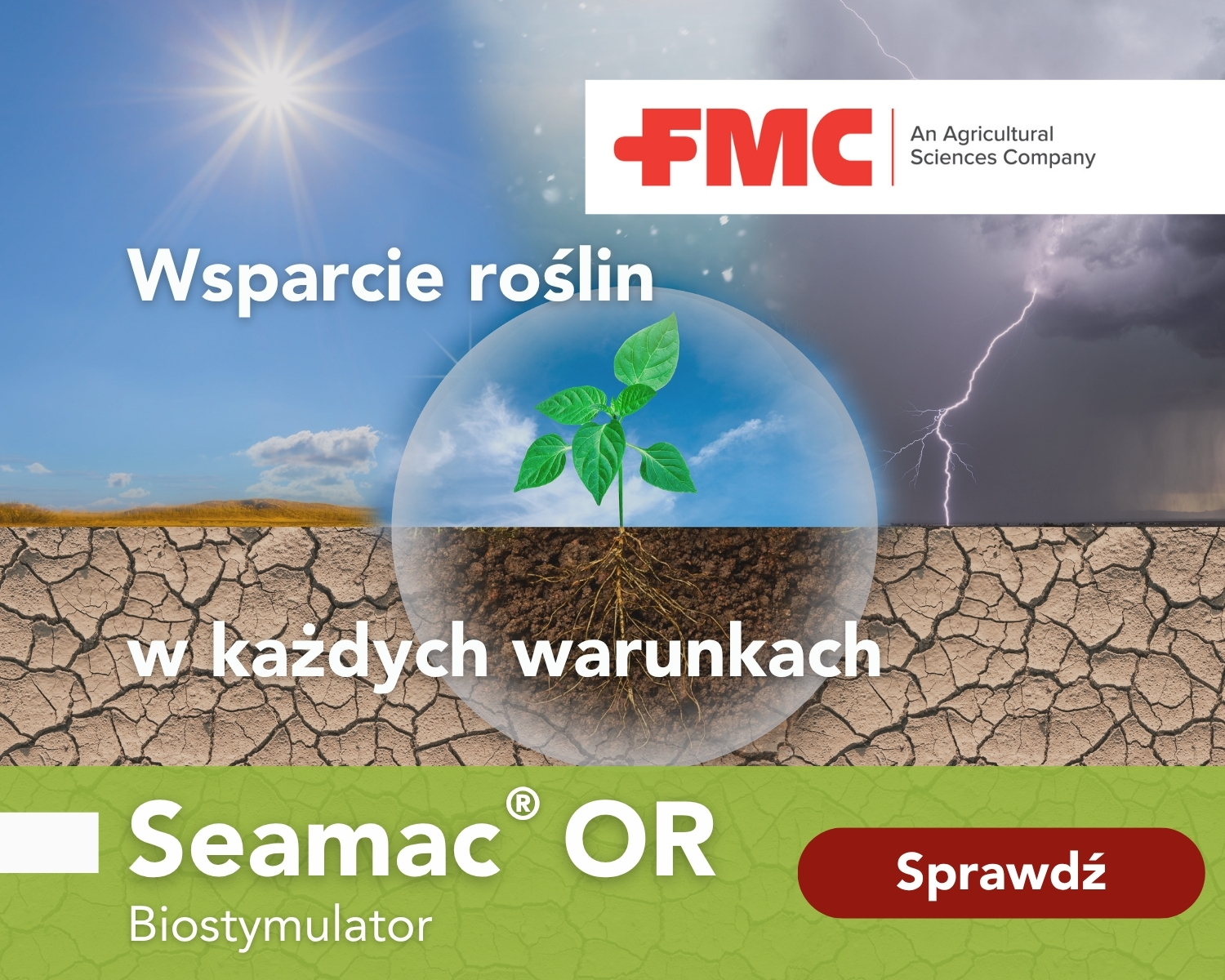 Seamac - innowacyjny biostymulator od FMC