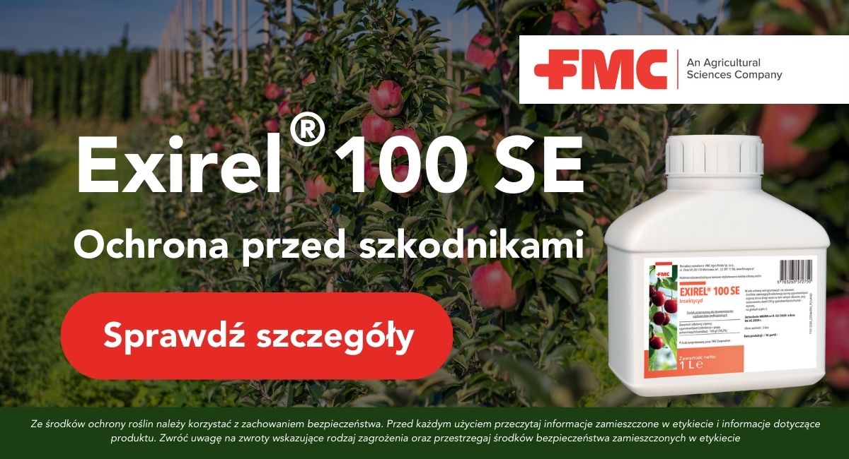 Zw&oacute;jki w sadach - zwalczanie