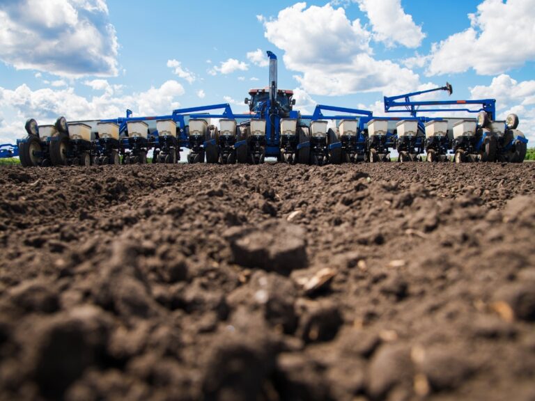 Kiedy siać zboża jare?