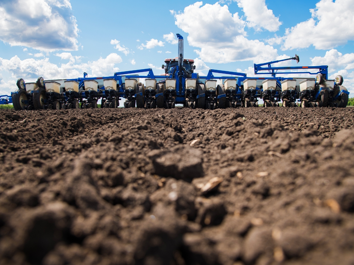 Kiedy siać zboża jare?