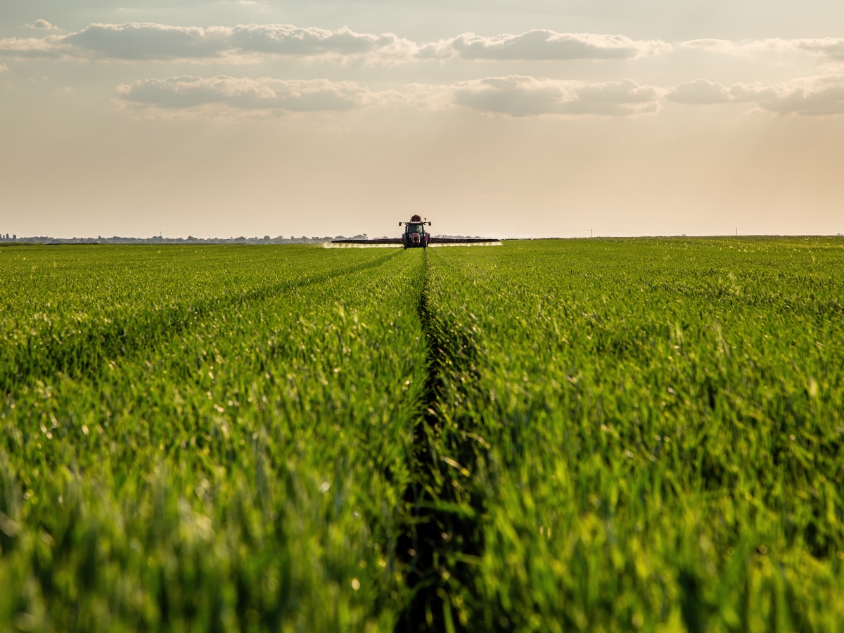 Zabiegi T1, T2 i T3 w zbożach – wszystko, co powinieneś o nich wiedzieć