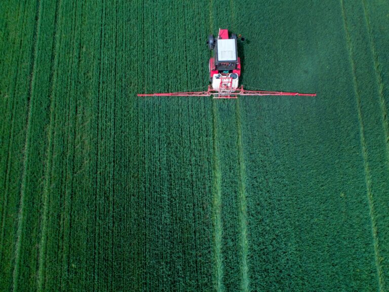 Oprysk na miotłę zbożową wiosną