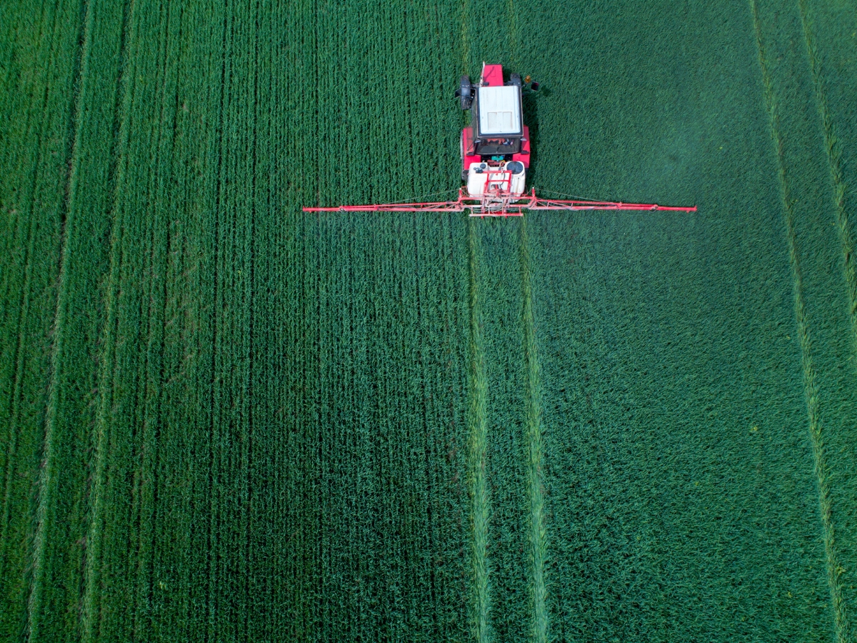 Oprysk na miotłę zbożową wiosną